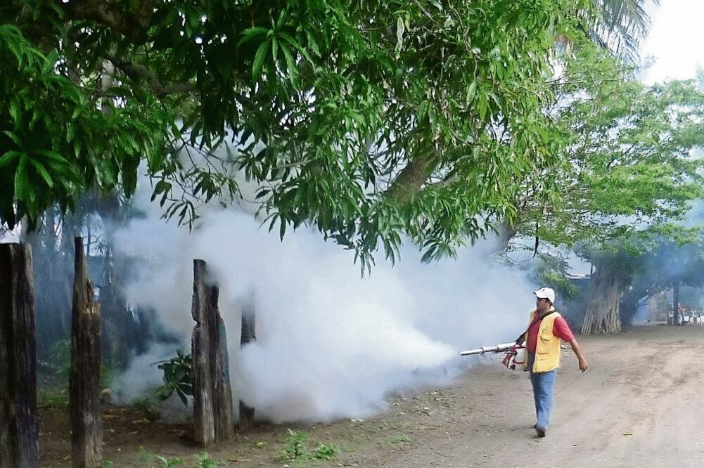 La Subsecretaría de Prevención y Promoción de la Salud señaló que se han reforzado las campañas de recolección de basura, fumigaciones y la concientización de la población para evitar que el vector se reproduzca (ARCHIVO EL UNIVERSAL)
