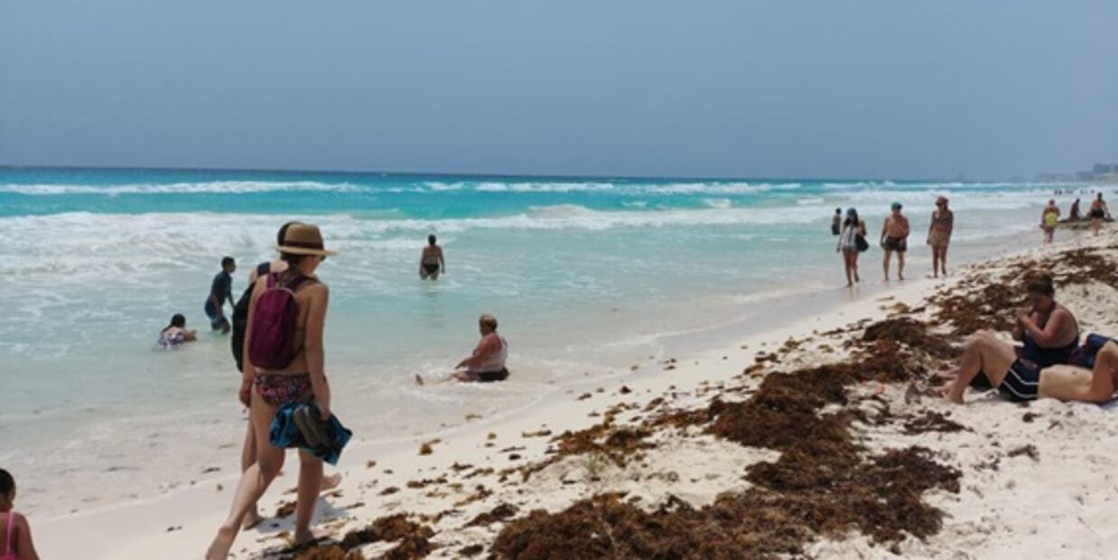 Senado aprueba exhorto para fiscalizar recursos destinados a contención del sargazo 