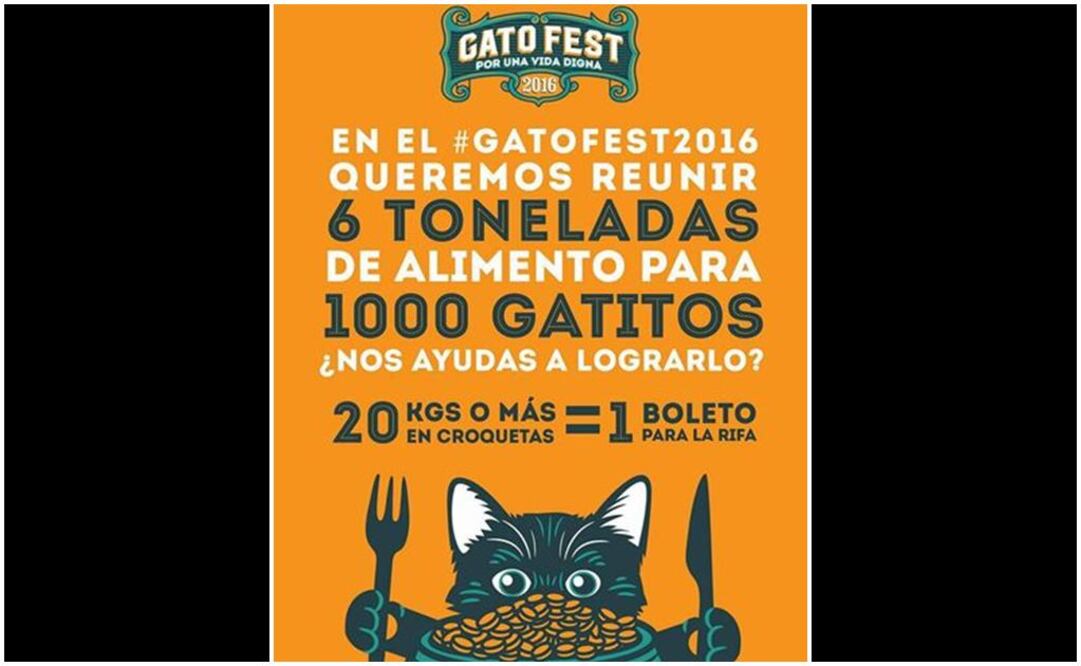 Llega Gato Fest 2016 para ayudar a miles de felinos