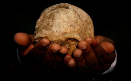 La paleogenómica traza los orígenes del Homo sapiens