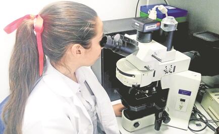 Publica SEP convocatoria para Premio Nacional de Ciencias 