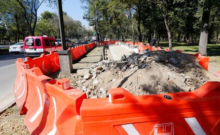 Sobse descarta tala en Parque Líbano por L7 de Metrobús