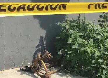 Hallan huesos abandonados afuera de deportivo en Gustavo A. Madero