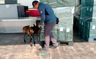 Marina asegura más de 19 mil kilos de tabaco ilegal en el AICM; pretendía entrar con falsa información fiscal desde Japón