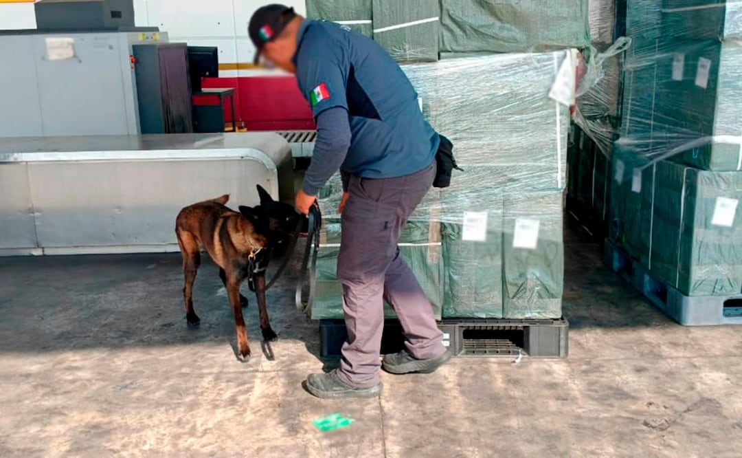 Marina asegura más de 19 mil kilos de tabaco ilegal en el AICM (09/01/2026). Foto: Especial