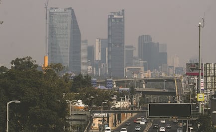 ¿No podrán circular los 0 y 00? Las preguntas más googleadas del nuevo esquema de contingencias