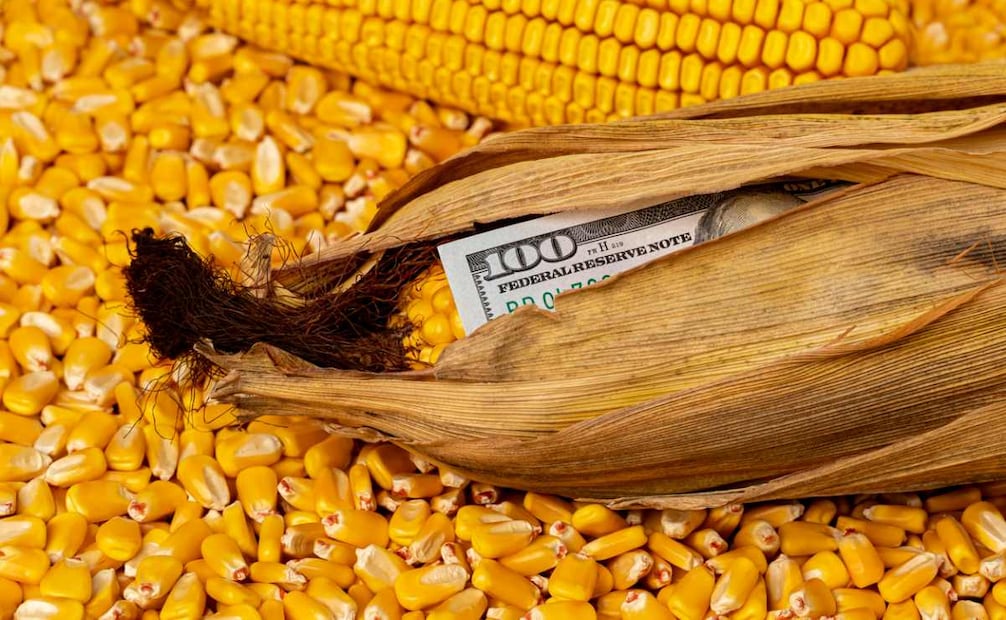 Trump afirma que México tiene "tamales picantes, tomates, un par de cosas... pero, básicamente, no tienen nada que nosotros necesitemos". Foto: iStock