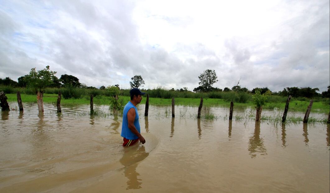 En Tabasco, el gobierno del estado solicitó a la federación la declaratoria de emergencia para los municipios de Tacotalpa, Teapa y Jalapa. Foto: Luma López/EL UNIVERSAL