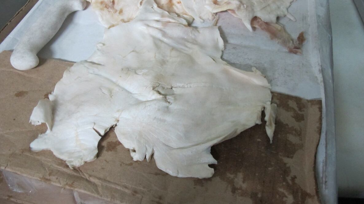 (ARCHIVO. EL UNIVERSAL)