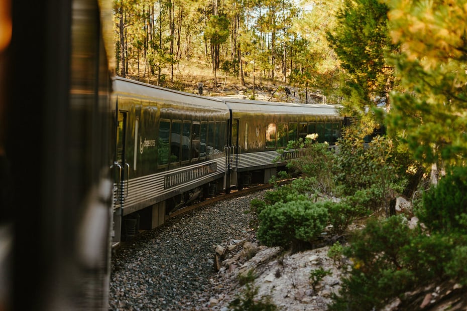 Tren Chepe Express. Foto: Chepe Express