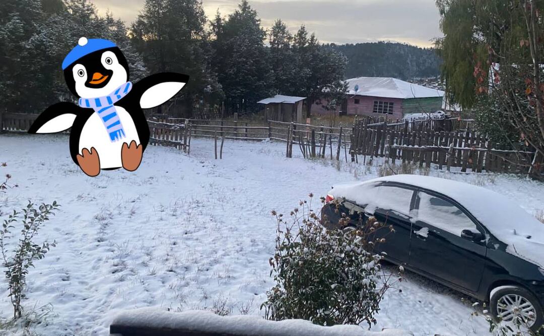 Chihuahua se pintó de blanco tras la caída de nieve por el frente frío. Foto: Protección civil de Chihuahua/ Pixabay