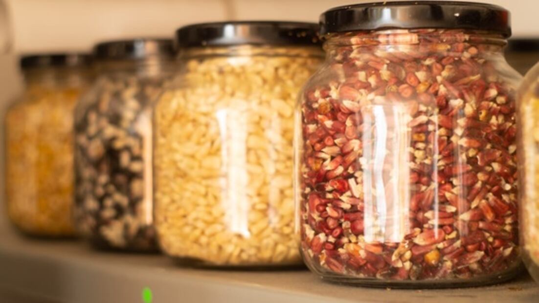 Crean el primer banco de semillas nativas en Puebla