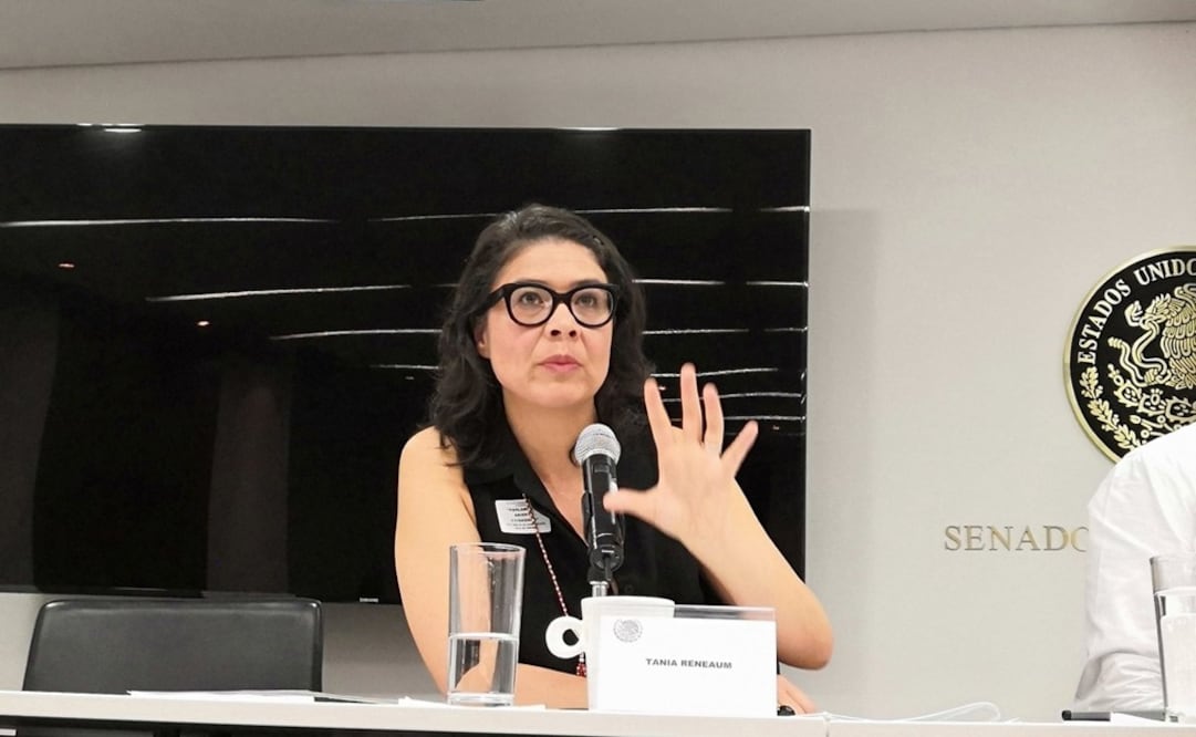 Directora Ejecutiva de Amnistía Internacional México, Tania Reneaum Panszi (Tomada de Twitter @TaniaReneaum)