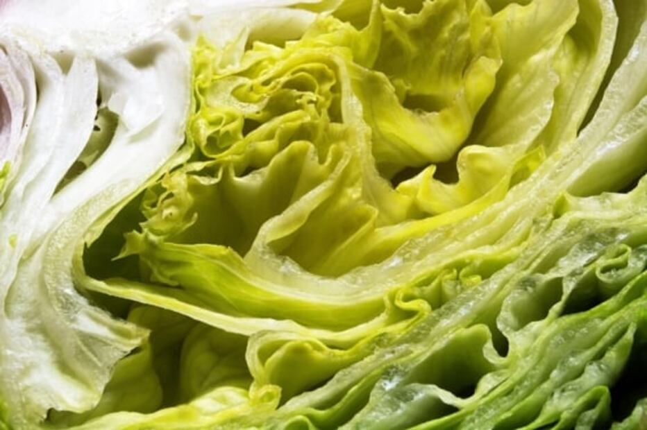 5 consejos para que la lechuga no se oxide 
