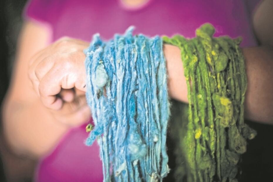 Al rescate de crianza de gusanos de seda en Oaxaca 