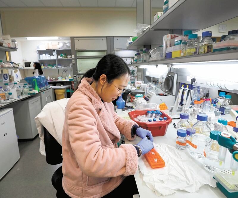 De acuerdo con científicos, la epidemia del SARS (Síndrome Respiratorio Agudo Severo) ocurrida en 2003 permitió desarrollar tecnologías avanzadas que pueden ser adaptadas para combatir al Covid-19. Foto: JALAA MAREY. AFP