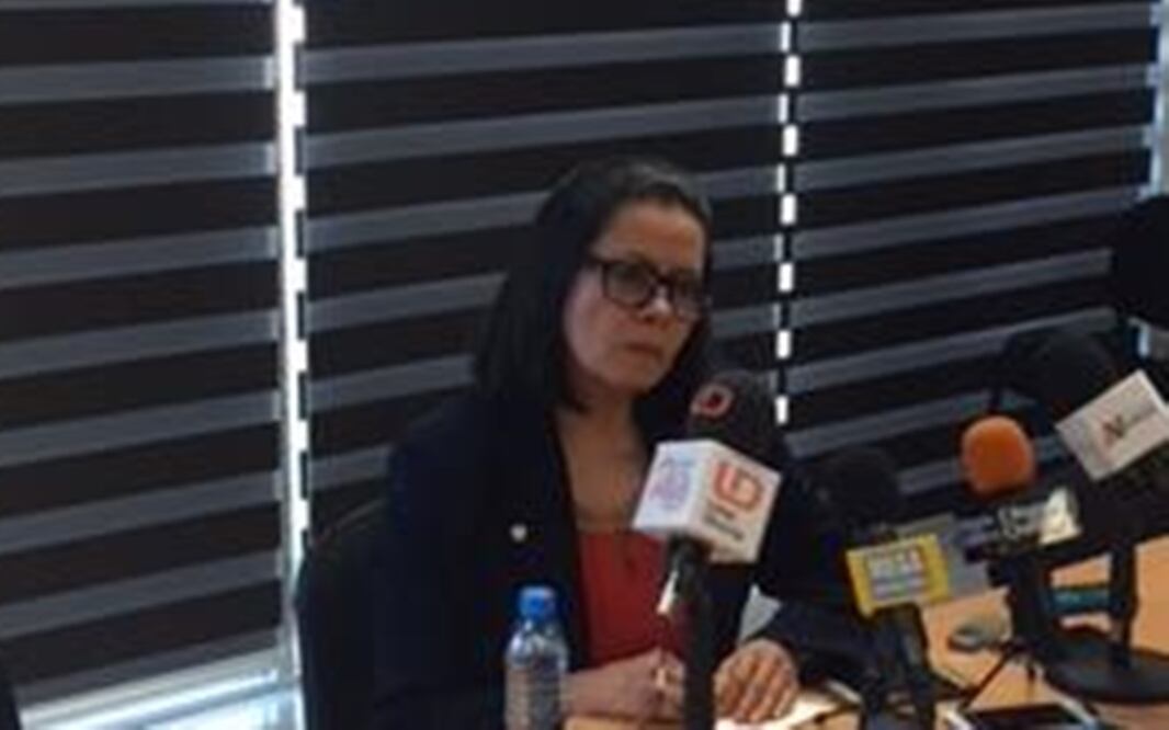 Foto: Javier Cabrera / EL UNIVERSAL