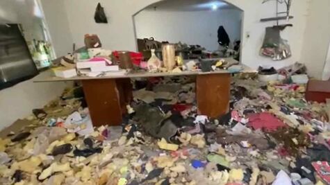 Rescatan a 39 perros y gatos hacinados en una casa en Toluca