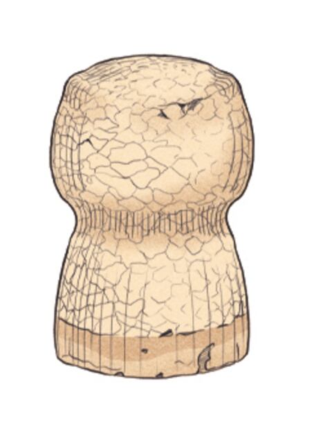 Corchos y tapones, los guardianes del vino