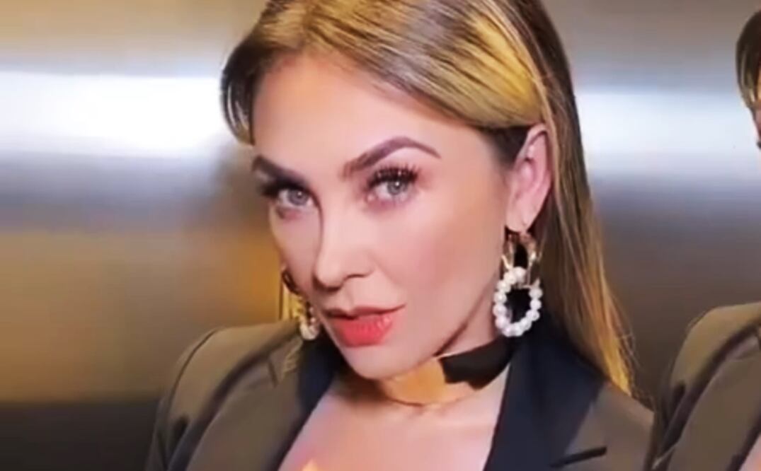 Aracely Arámbula es madre de Daniel y Miguel, hijos que tuvo con Luis Miguel.
Foto: Instagram