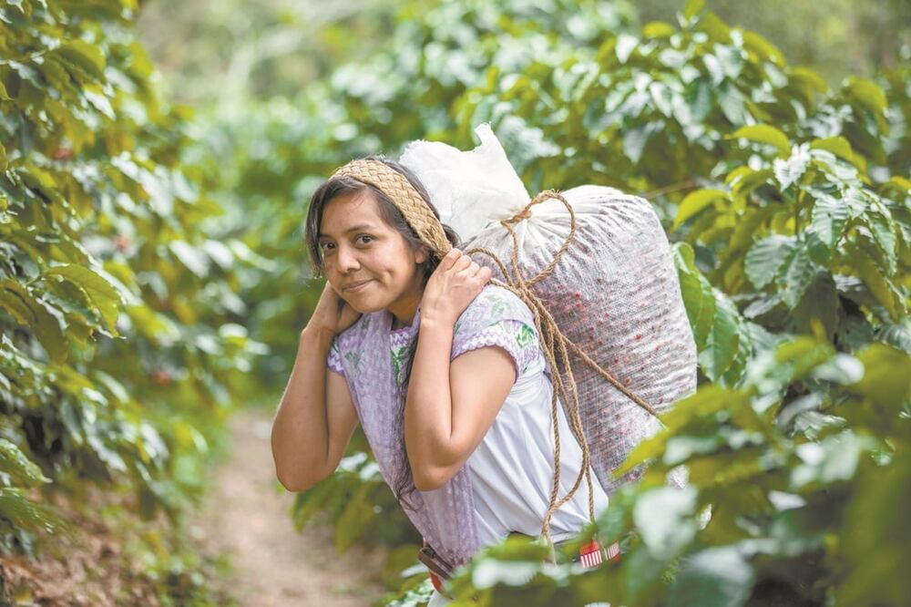 El recorte presupuestal a los programas de atención para las mujeres tendrán un mayor impacto en las indígenas y en las que viven en zonas de alta marginación. Foto: Especial