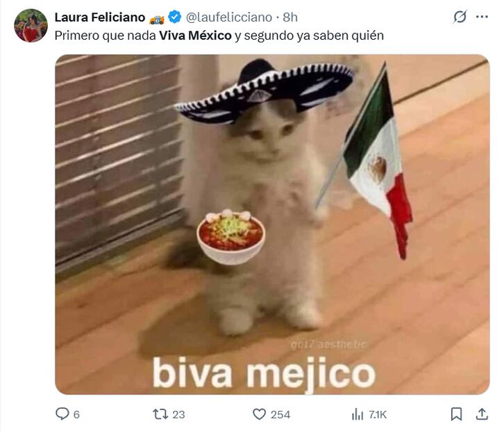 Usuarios mexicanos dan inicio a los festejos patrios de este año con los mejores memes en redes sociales. Foto: Captura de pantalla
