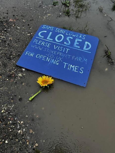 Foto: Stoke Fruit Farm Shop