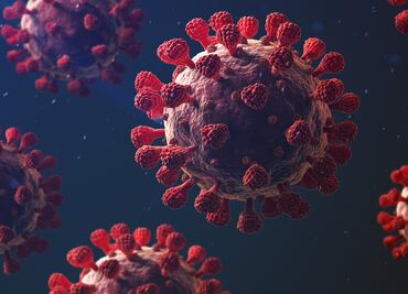 Cambio climático, ¿detrás de la aparición de nuevos coronavirus?