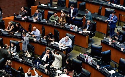Turnan iniciativa para evitar narcoperfiles
