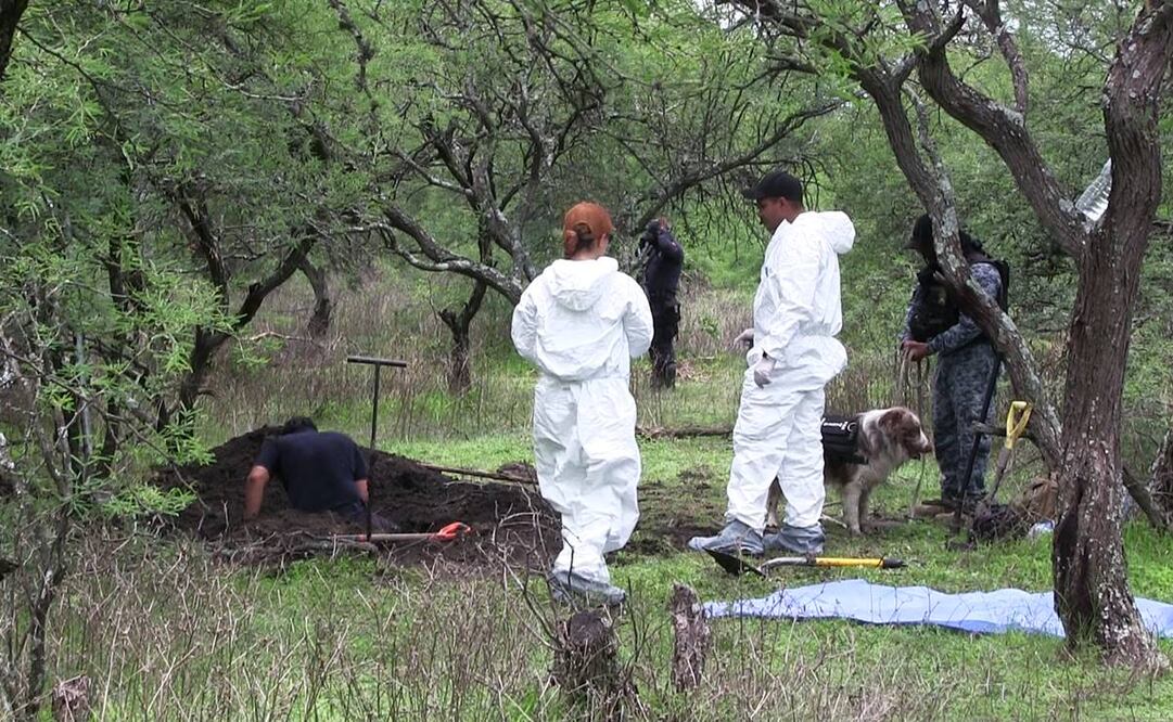 Pese al asedio de grupos criminales, las autoridades aseguran que continuarán los trabajos para localizar más víctimas en el predio Los Negritos. Foto: Carlos Arrieta/EL UNIVERSAL
