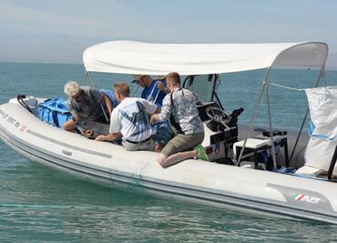 La vaquita marina, ejemplo de "defaunación" y crisis de la biodiversidad