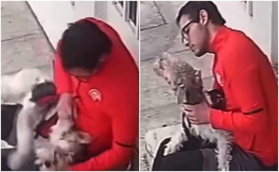 El sujeto fue captado golpeando en repetidas ocasiones a un perrito en La Narvarte / Captura de pantalla