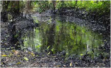 Ambientalistas denuncian a Pemex en Veracruz; acusan falta de limpieza en derrame de hidrocarburo en un arroyo