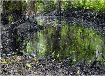 Ambientalistas denuncian a Pemex en Veracruz; acusan falta de limpieza en derrame de hidrocarburo en un arroyo