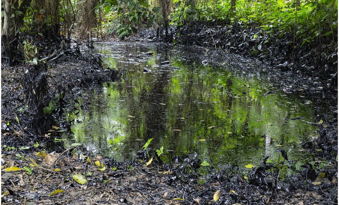 Al menos 19 organizaciones ambientalistas denuncian a Pemex en Veracruz por falta de limpieza en derrame de hidrocarburo en un arroyo (3/10/2024). Foto: Especial