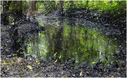 Ambientalistas denuncian a Pemex en Veracruz; acusan falta de limpieza en derrame de hidrocarburo en un arroyo