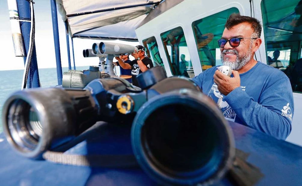 Esfuerzos de los pobladores de San Felipe junto a la CONAMP para visibilizar a esta especie endémica de esta localidad.
Fotos; Berenice Fregoso/ EL UNIVERSAL