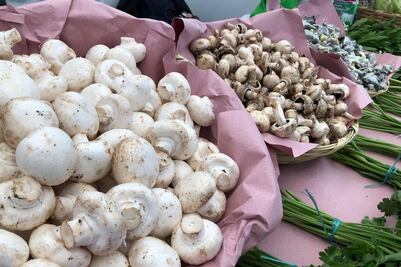 Deja Feria del Hongo en Cuajimalpa derrama económica de 30 mdp