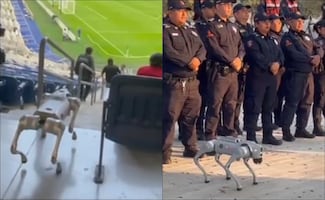 VIDEO: Así son los perros robot que ayudarán a la policía durante el Mundial 2026