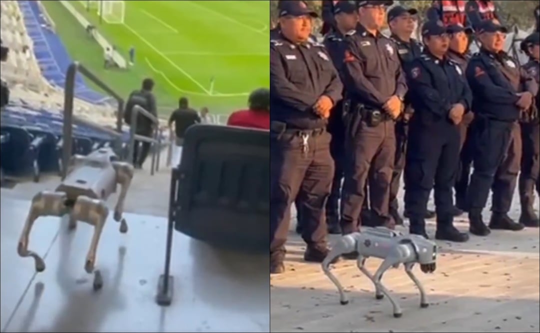 Así luce el perro robot que ayudará a la policía en Monterrey / Foto: Especiales