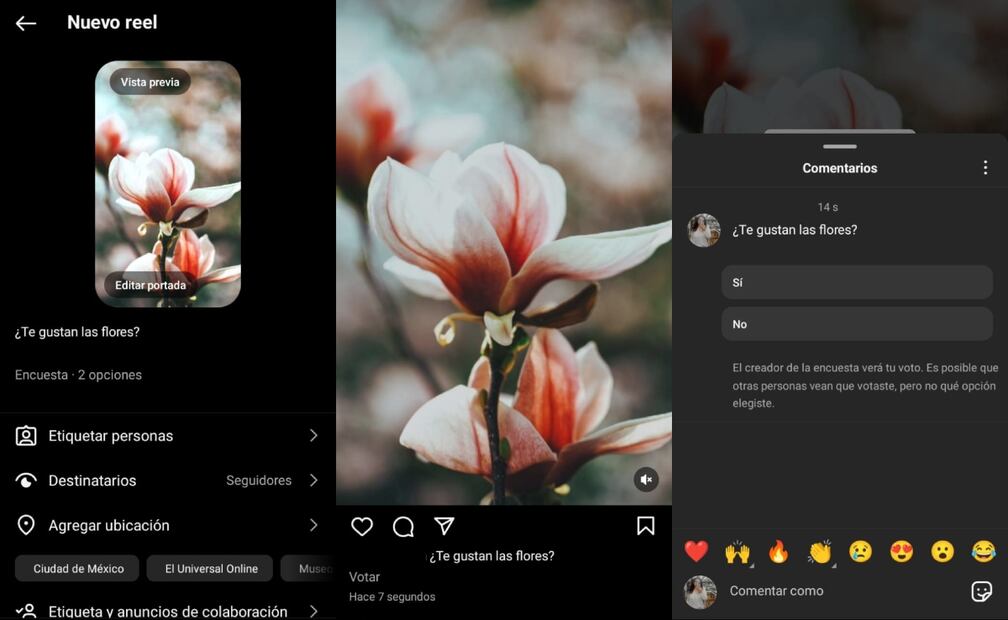 Imagen: captura de pantalla