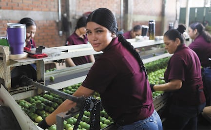 Limoneros en Michoacán piden que militares no se vayan