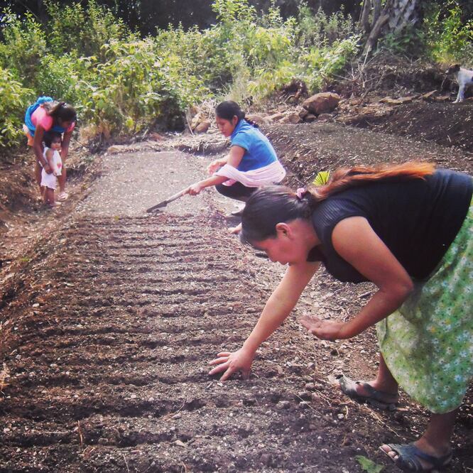 La agricultura sostenible, productiva y resiliente frente al cambio climático