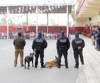 Detienen al abuelo; las armas eran de él 