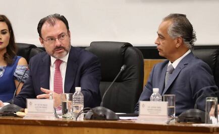 Construcción del muro, desperdicio de dinero: Videgaray