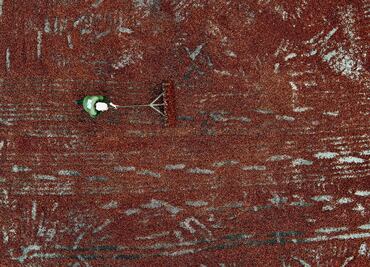 Cacao: el nuevo "oro" del crimen organizado en Ecuador