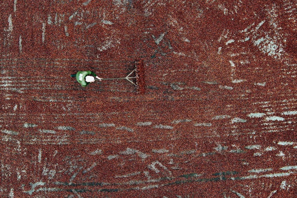 Vista aérea de un trabajador esparciendo granos de cacao para que se sequen en la planta Fumisa de la exportadora de cacao fino de aroma Ecokakao, en el cantón Buena Fe, provincia de Los Ríos, Ecuador. FOTO: MARCOS PIN. AFP