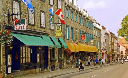 Trabaja en Canadá y gana 36 mil pesos sin hablar inglés