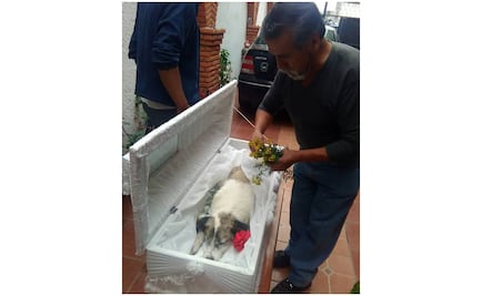 Muere Citla, el ángel guardián de la montaña