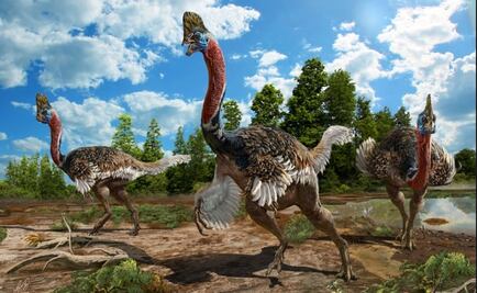 Hallan nueva especie de dinosaurio de cuello largo y con cresta
